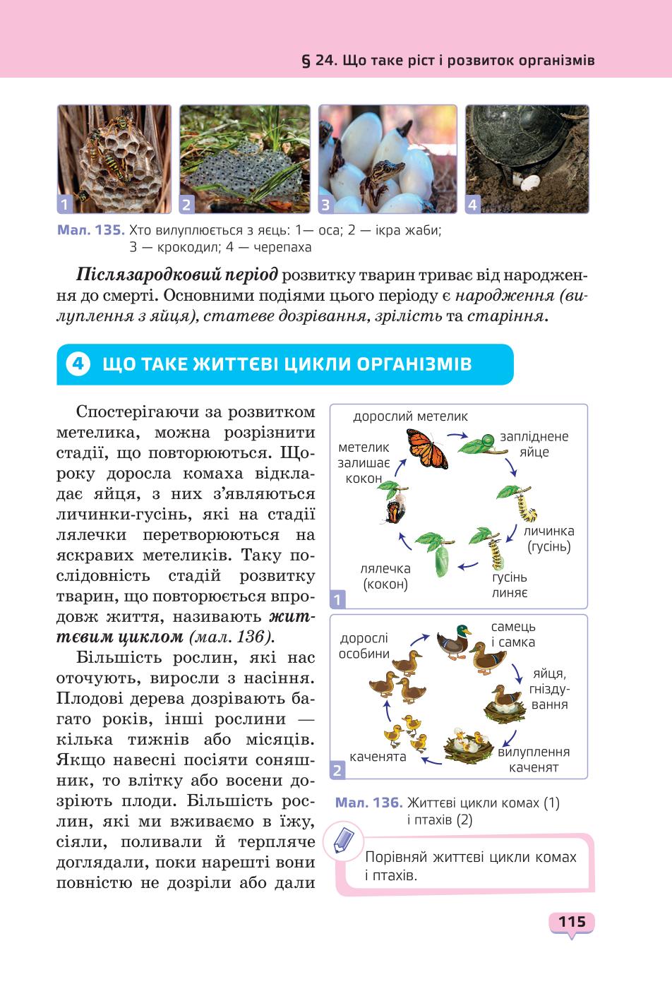 Мініатюра 115