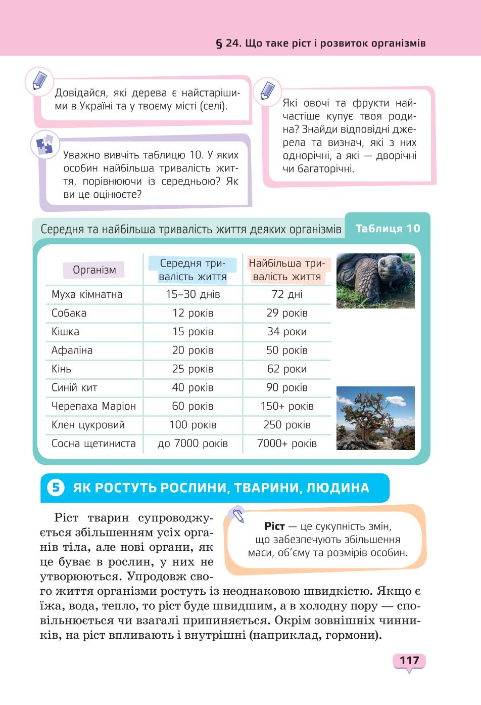 Мініатюра 117