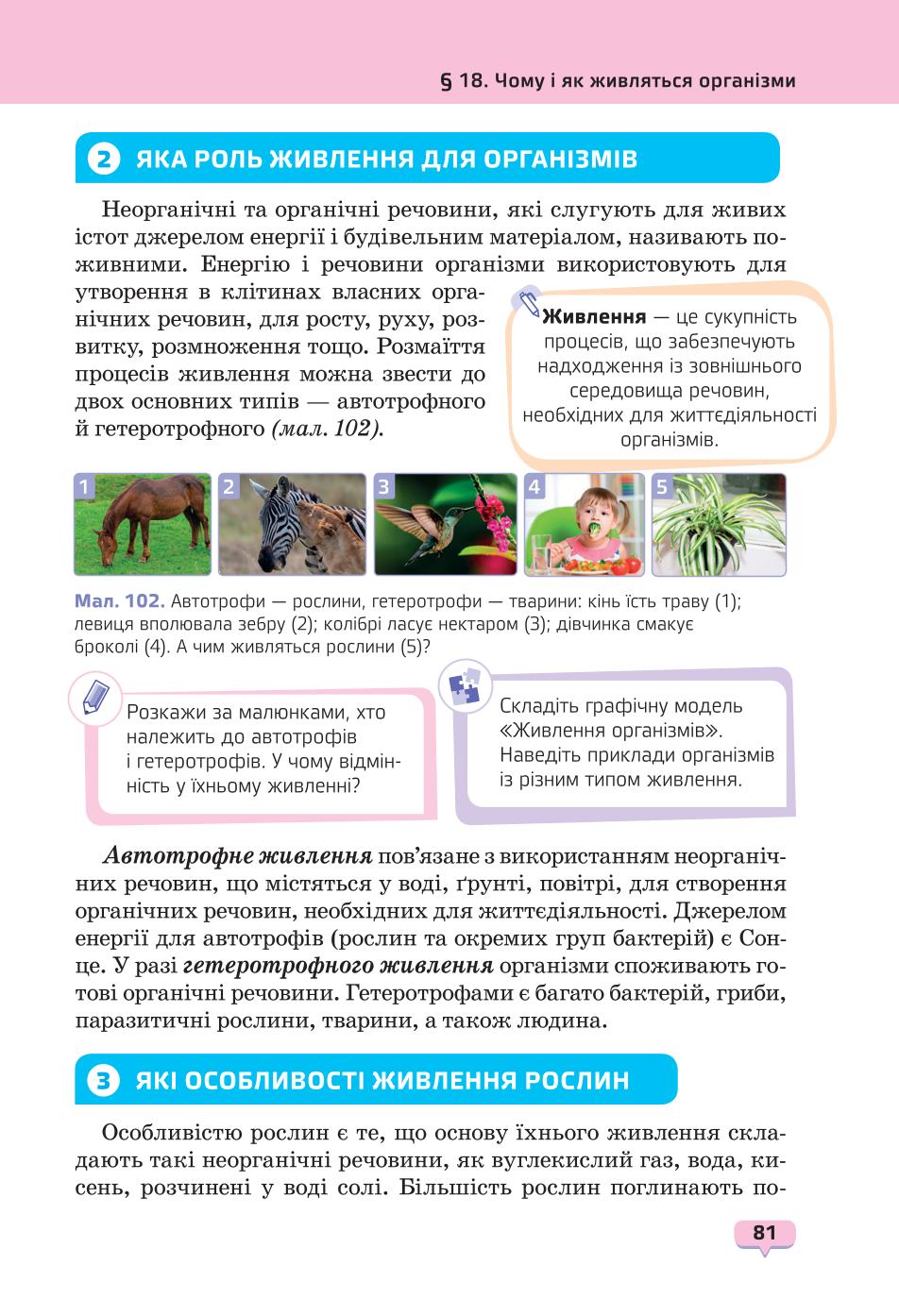 Мініатюра 81