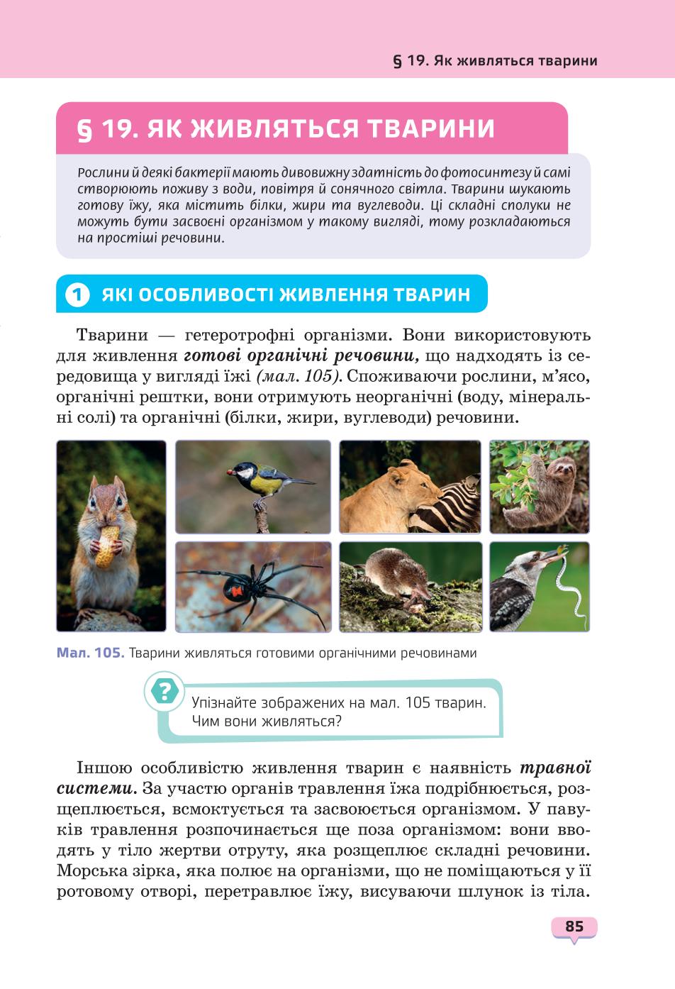 Мініатюра 85