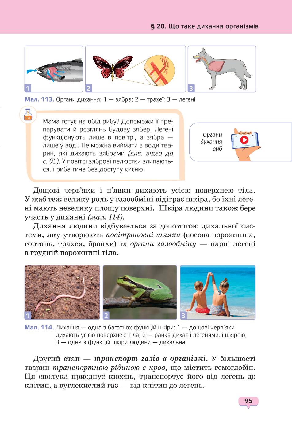 Мініатюра 95