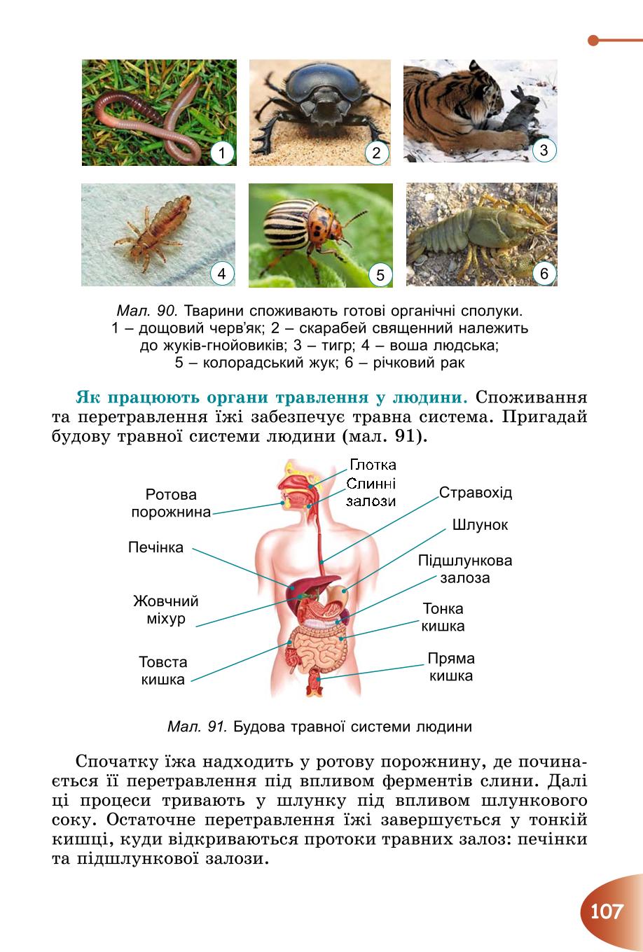 Мініатюра 107