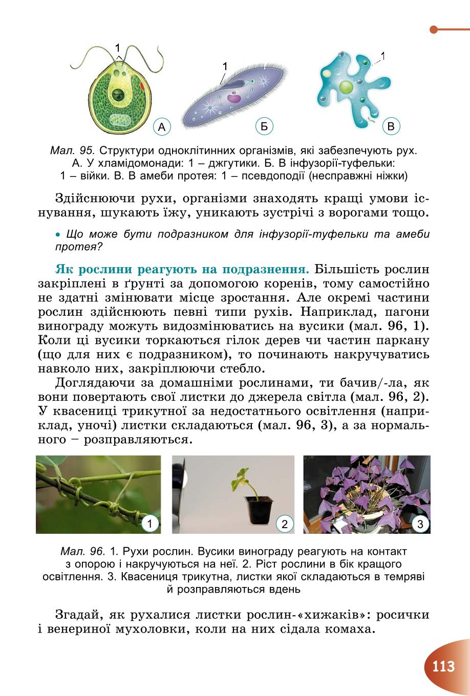 Мініатюра 113