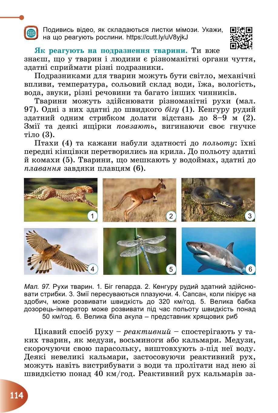 Мініатюра 114