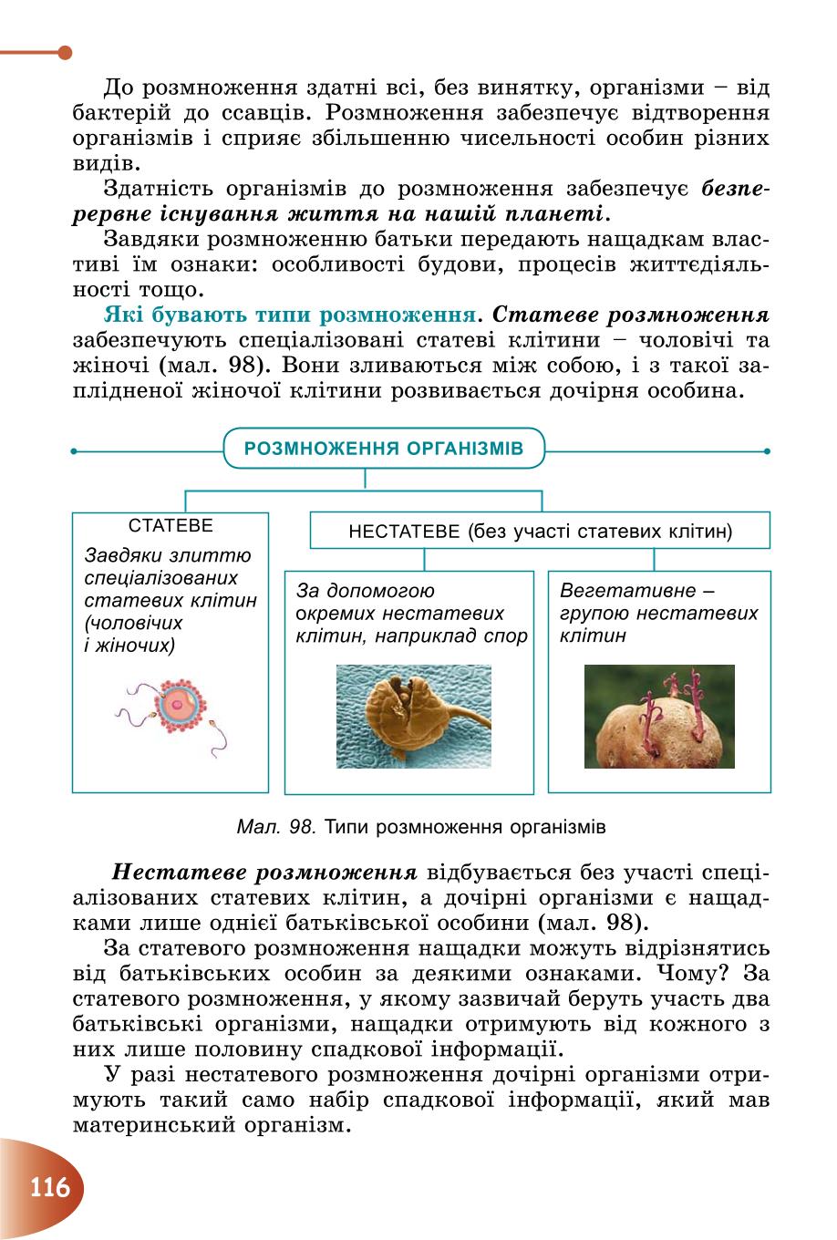 Мініатюра 116