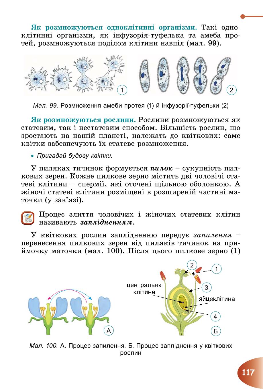 Мініатюра 117