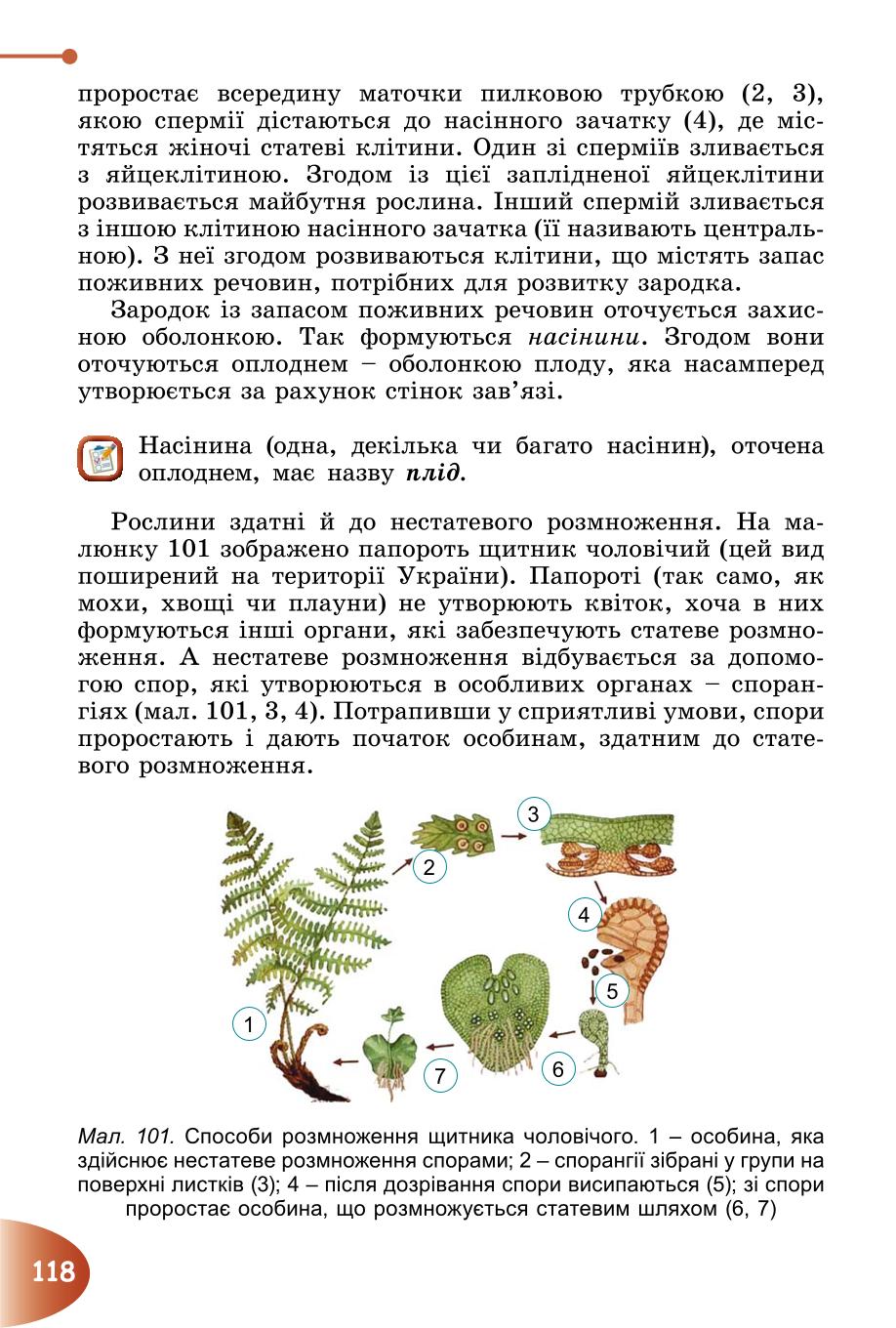 Мініатюра 118