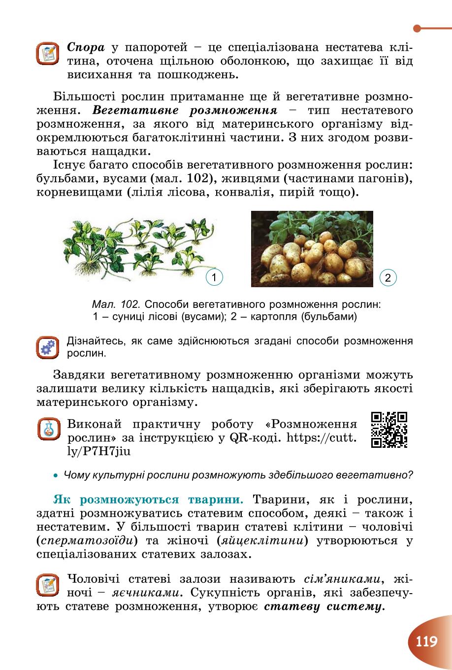Мініатюра 119