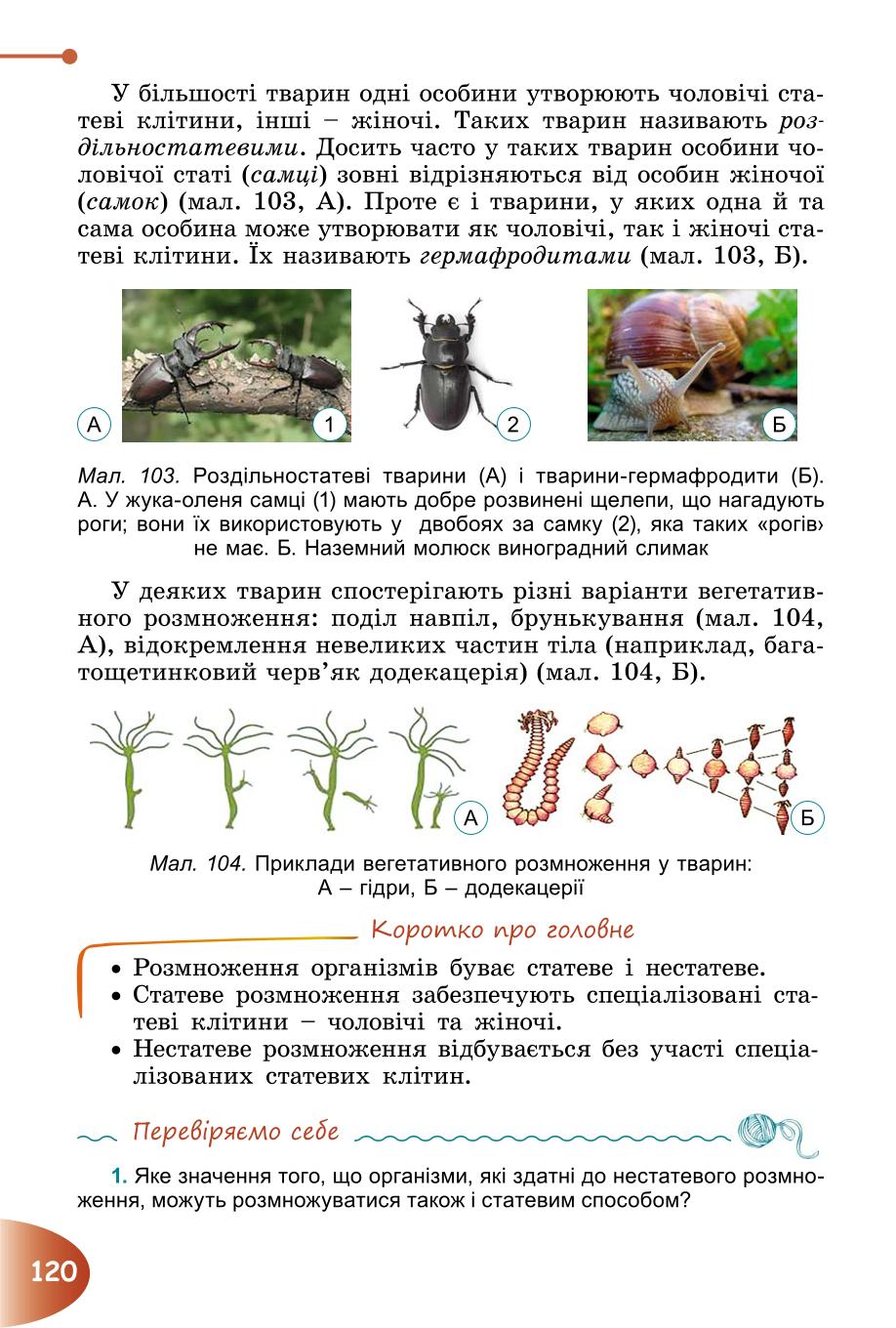 Мініатюра 120