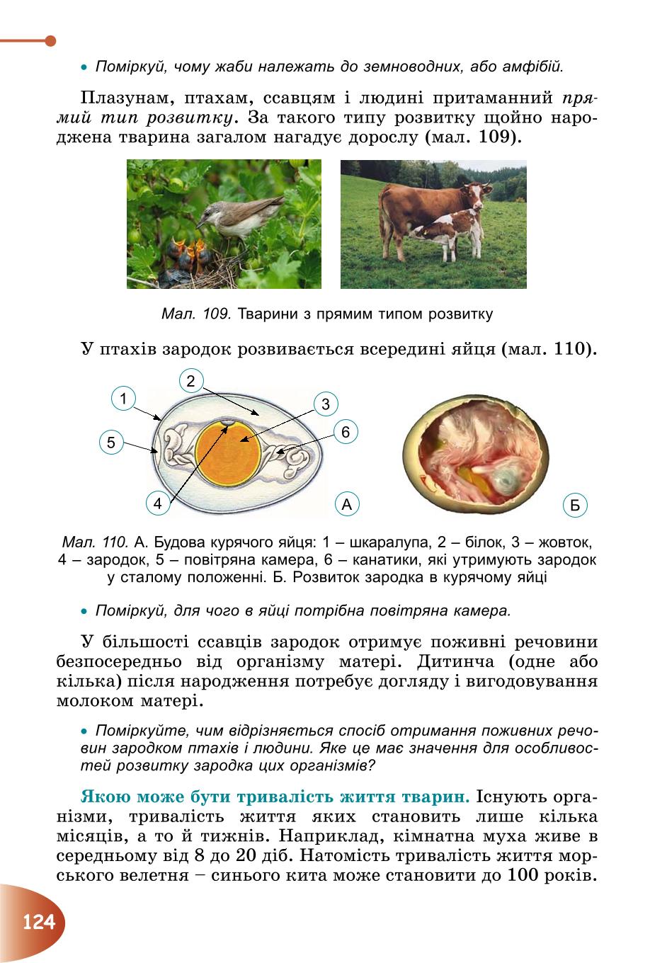 Мініатюра 124