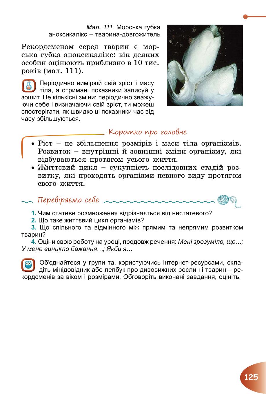 Мініатюра 125