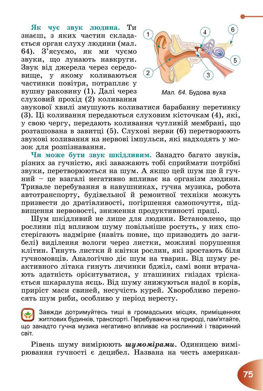 Мініатюра 75