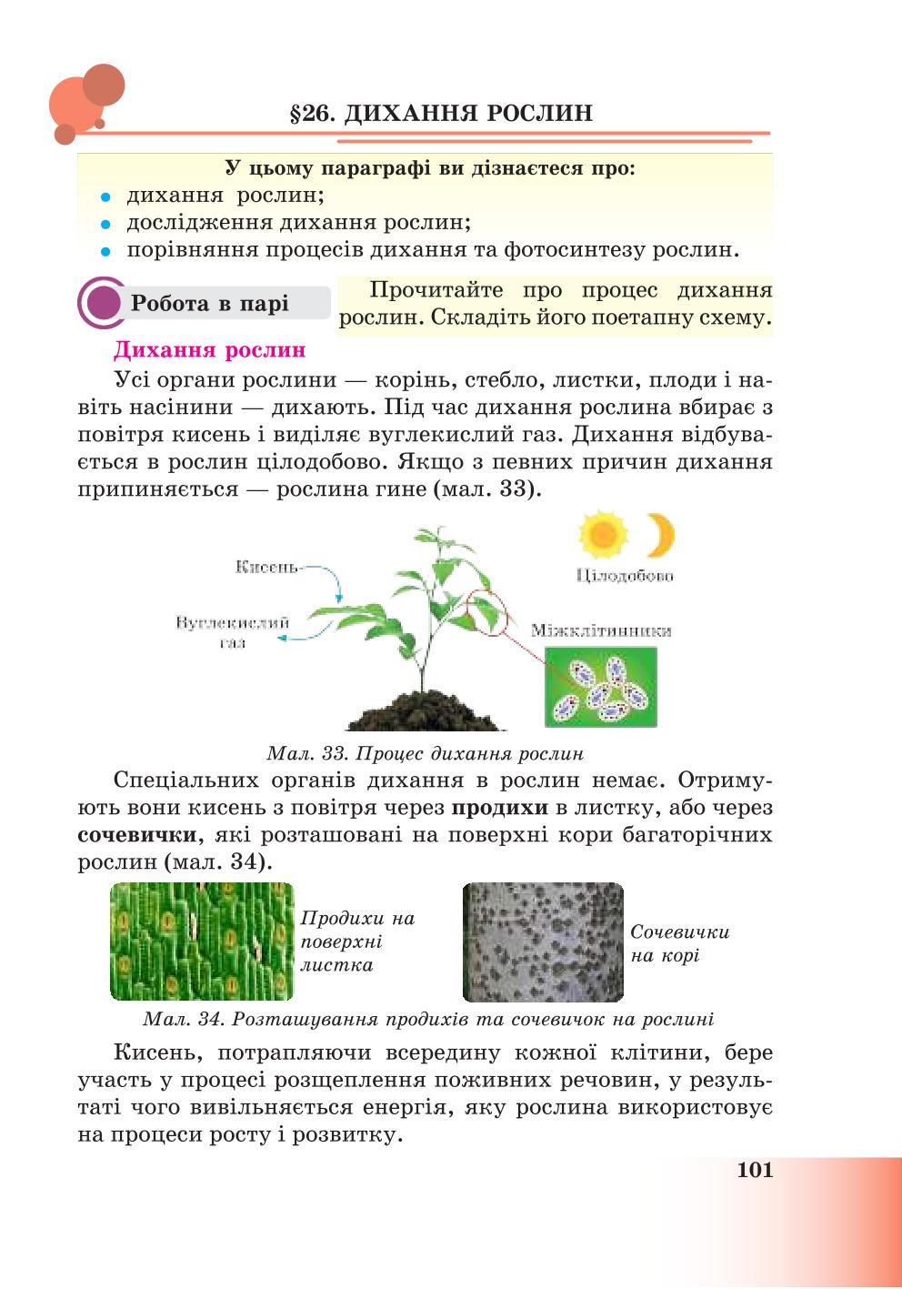Мініатюра 101