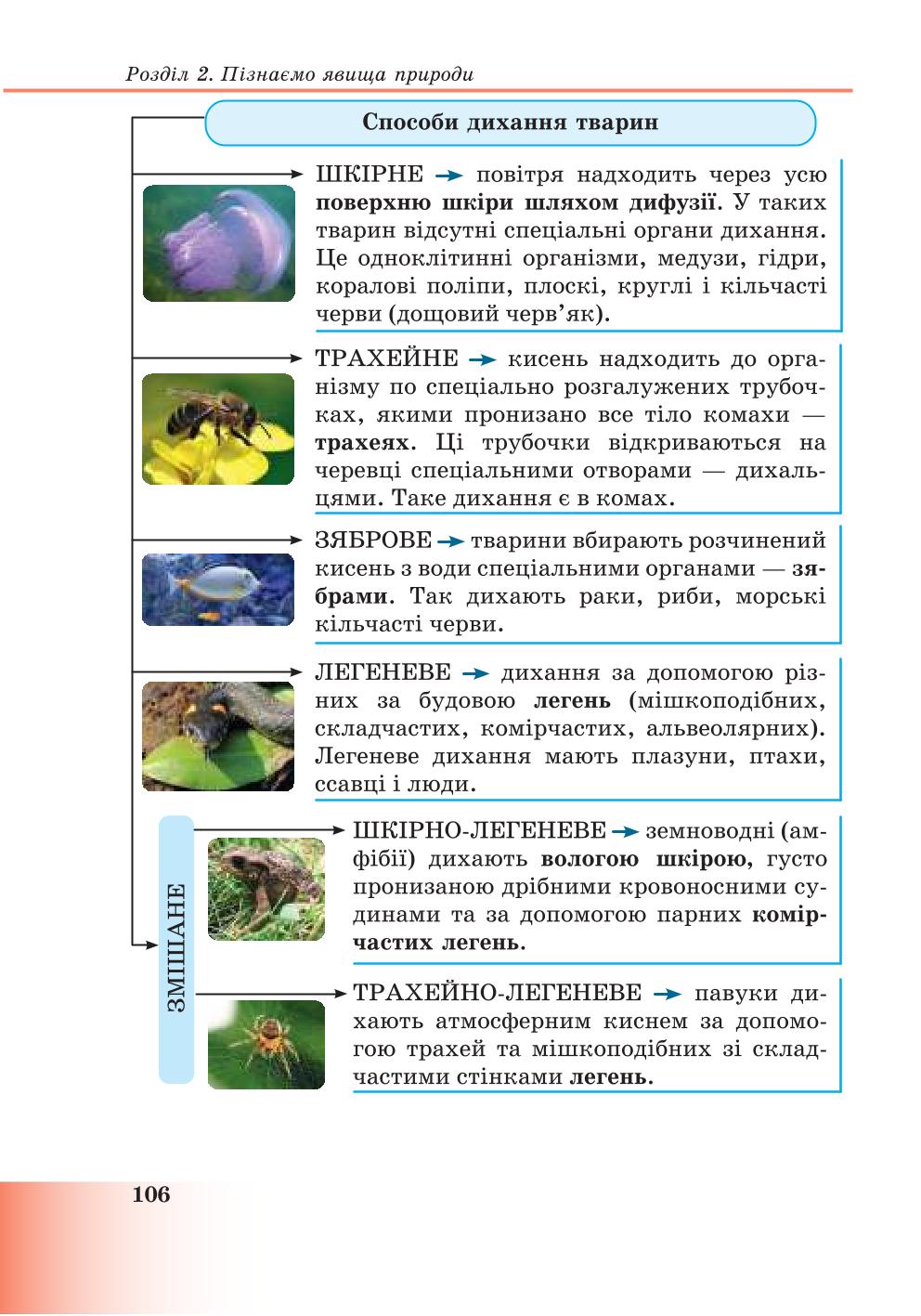 Мініатюра 106