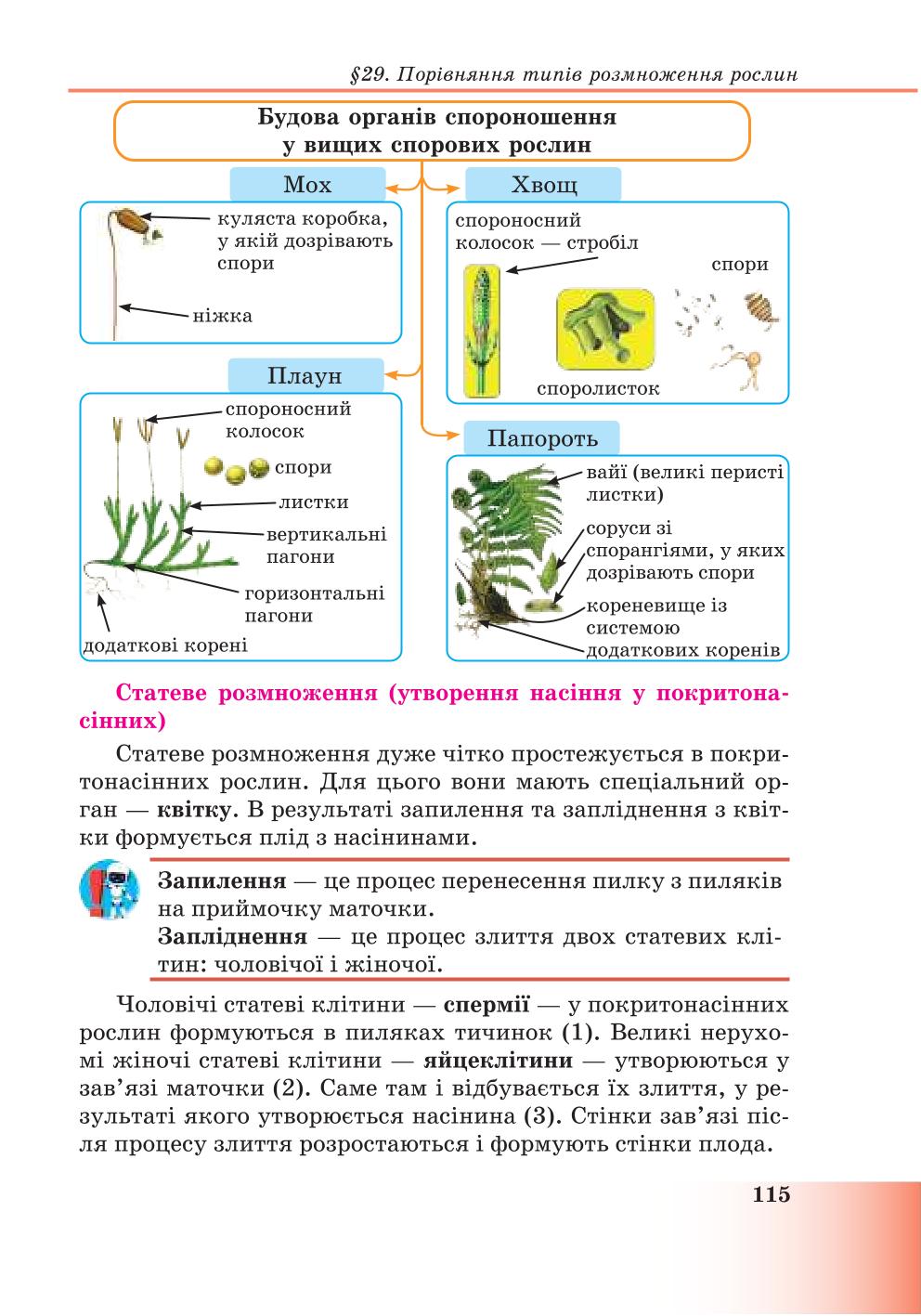 Мініатюра 115