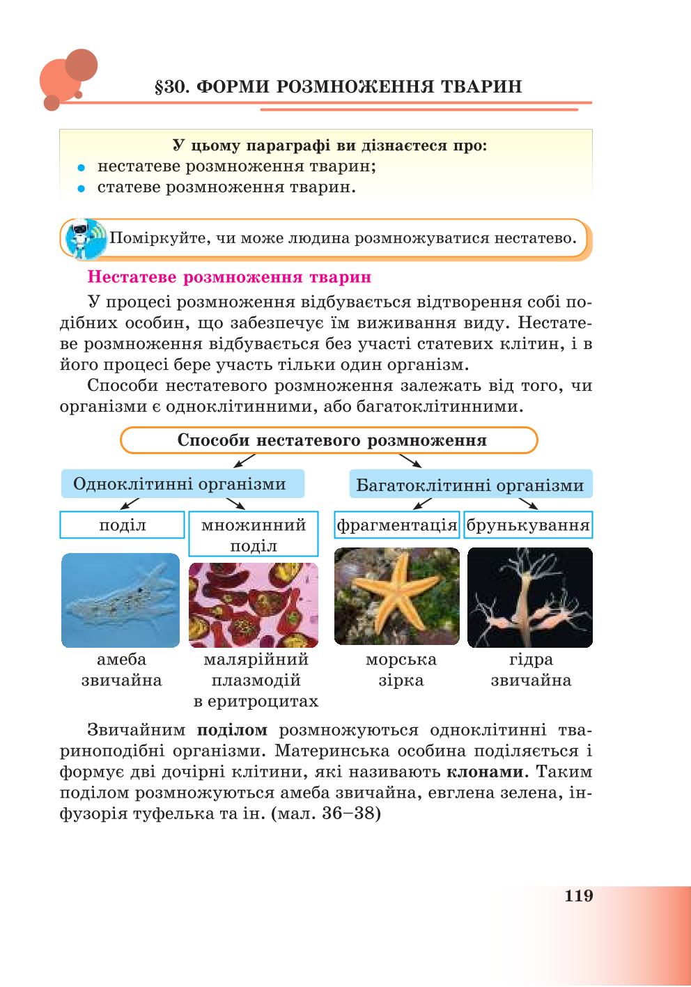 Мініатюра 119