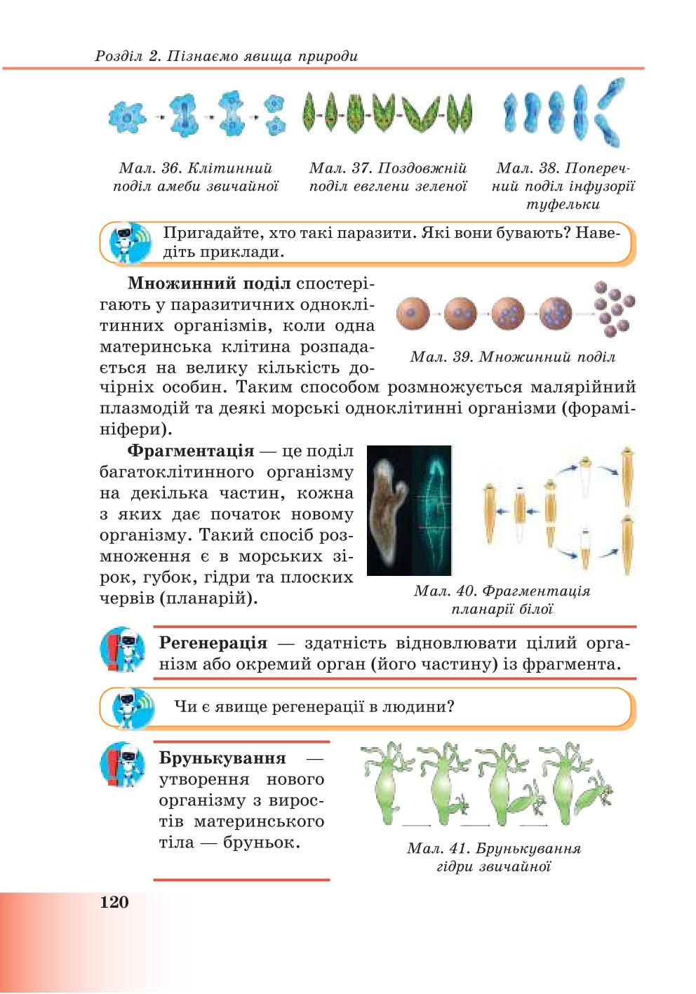 Мініатюра 120