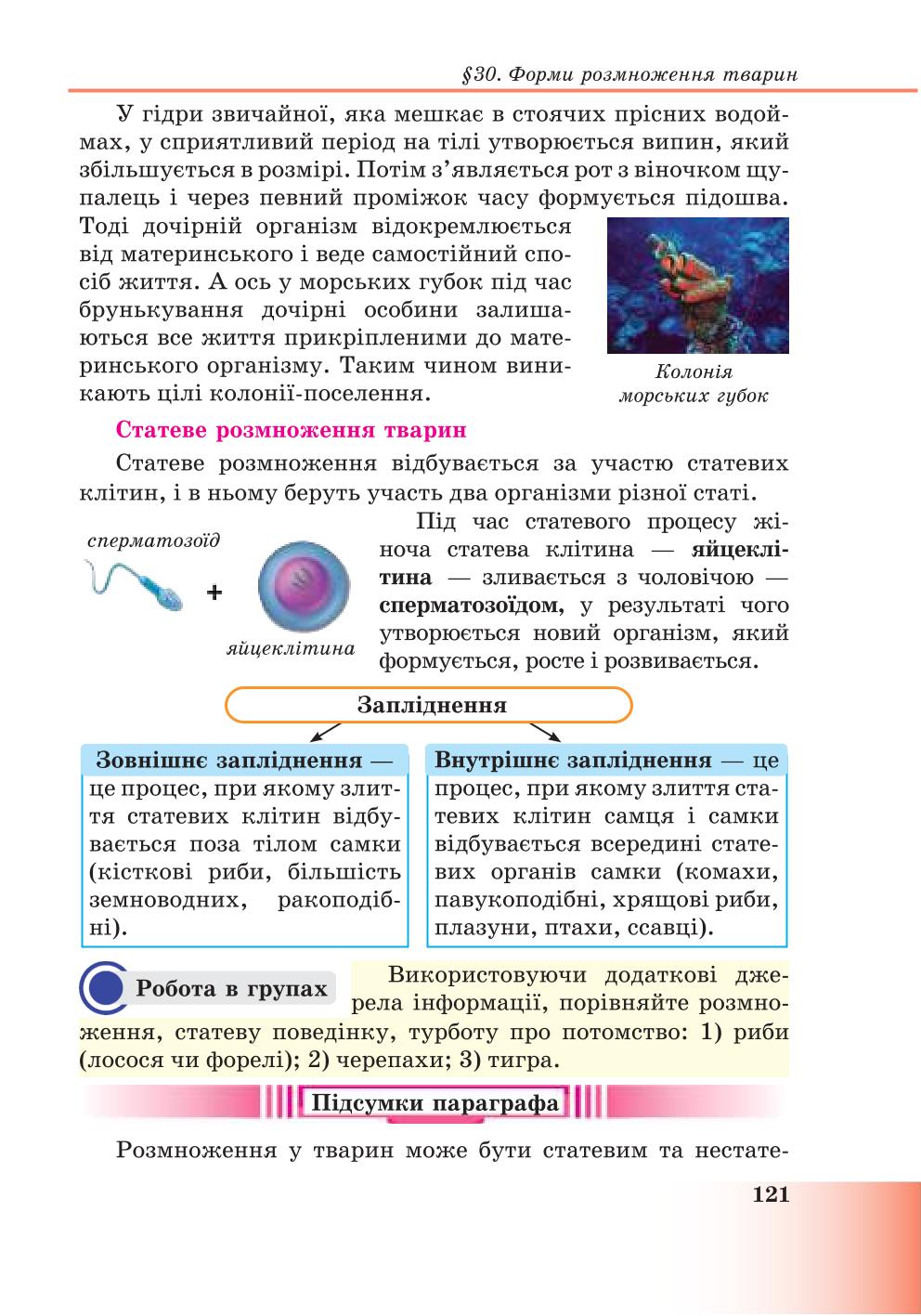 Мініатюра 121