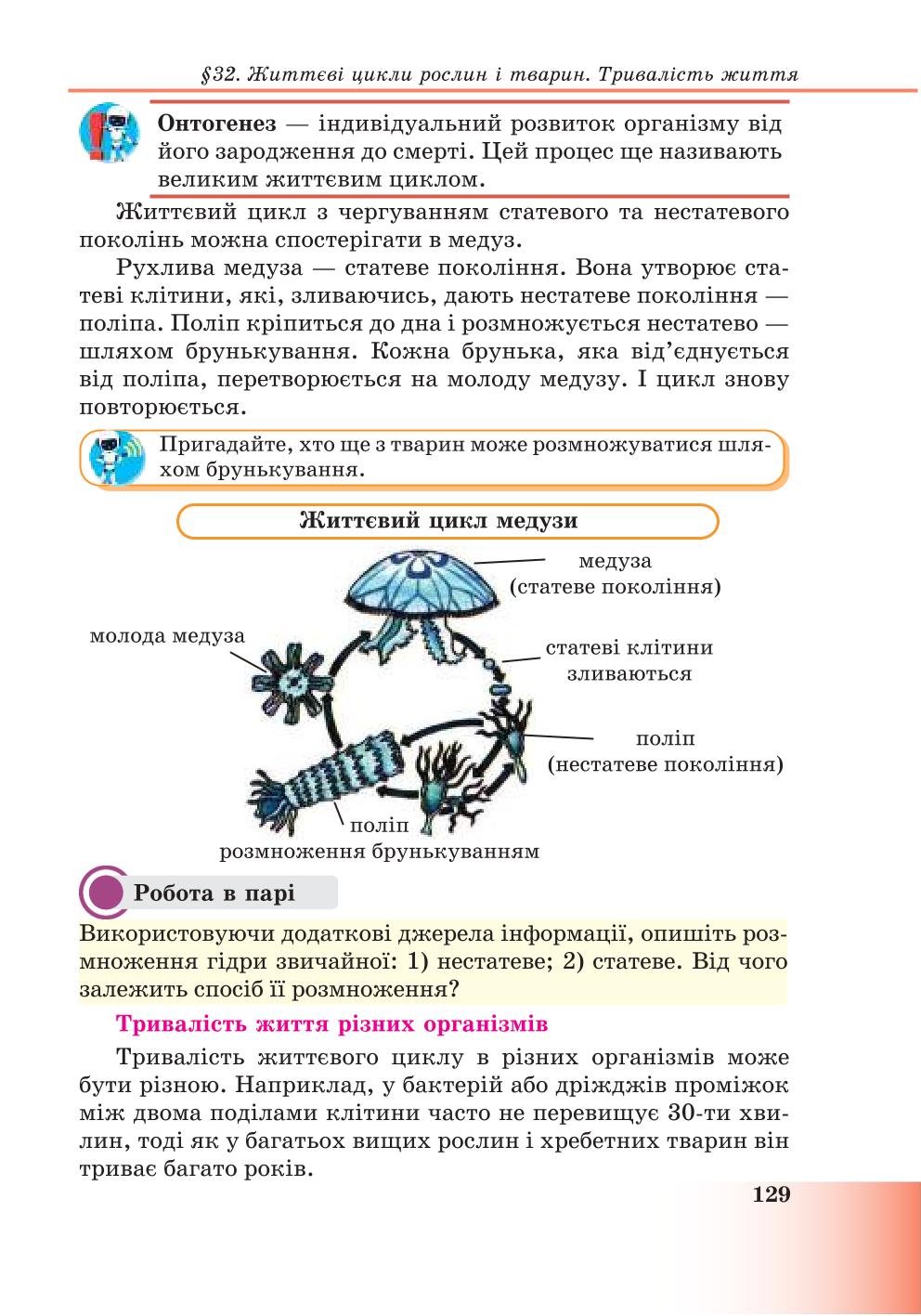 Мініатюра 129