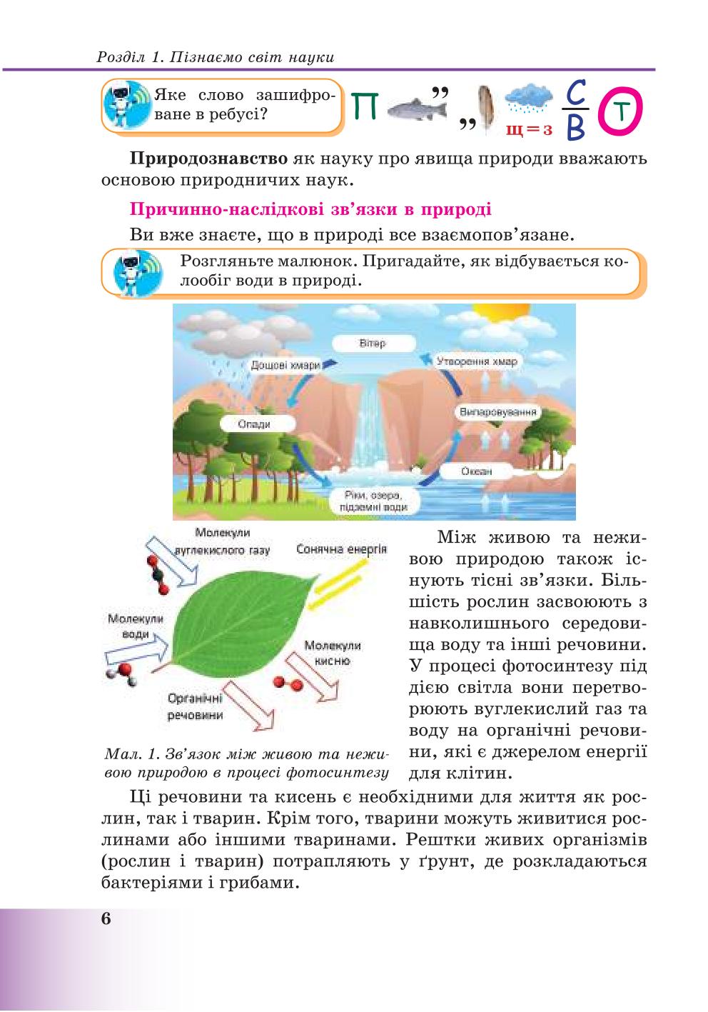 Мініатюра 6