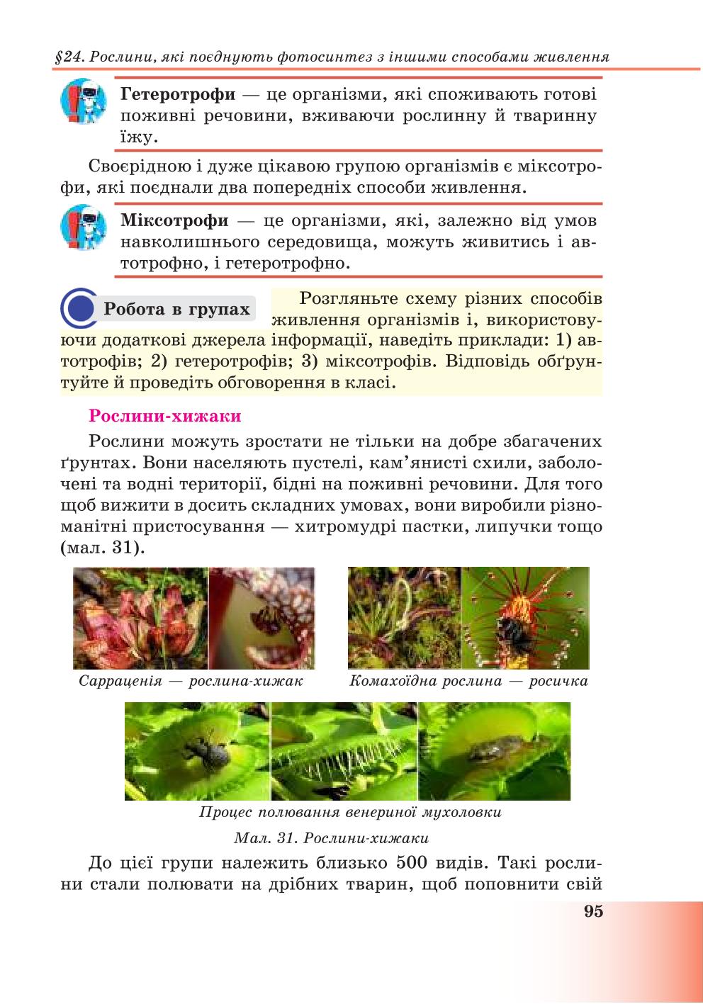 Мініатюра 95