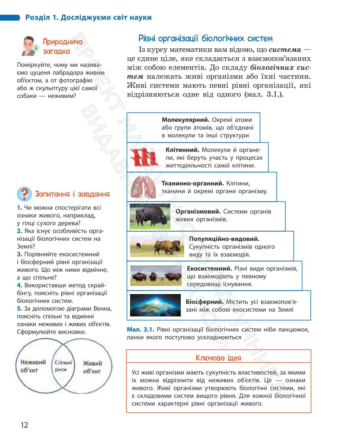 Мініатюра 12