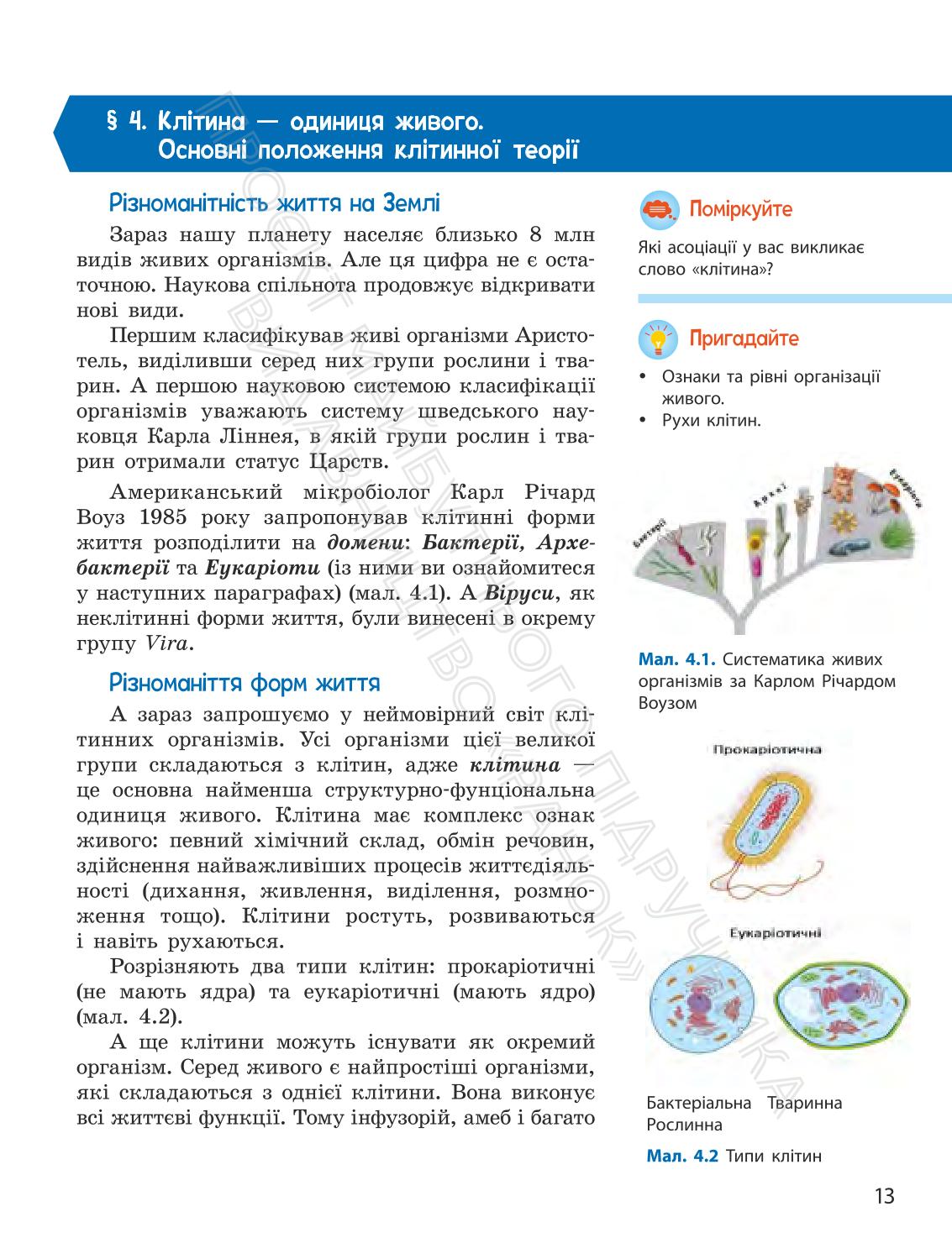 Мініатюра 13