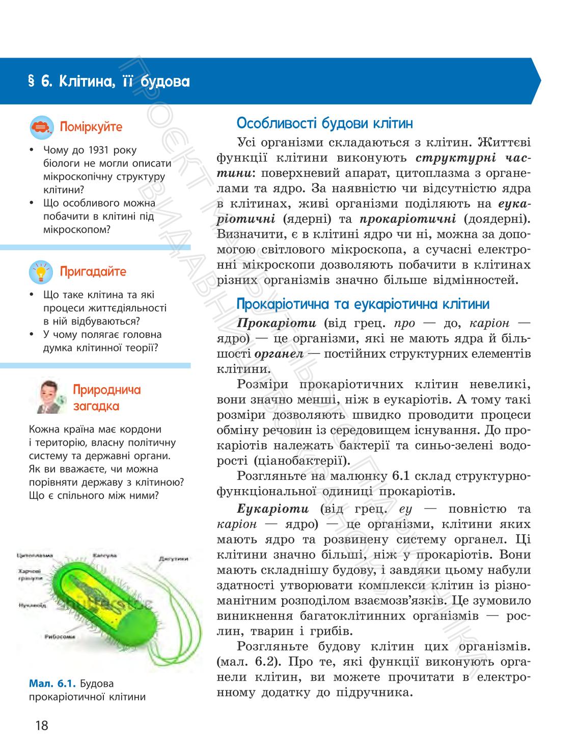 Мініатюра 18