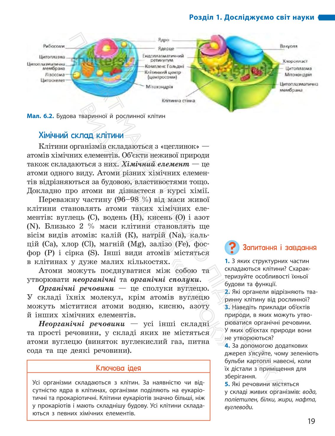 Мініатюра 19