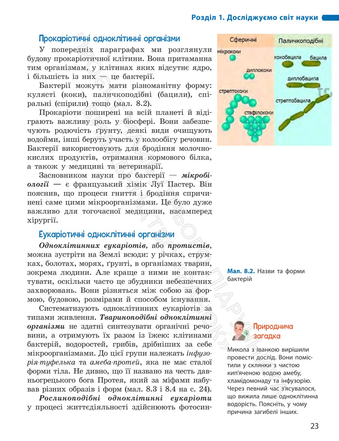 Мініатюра 23