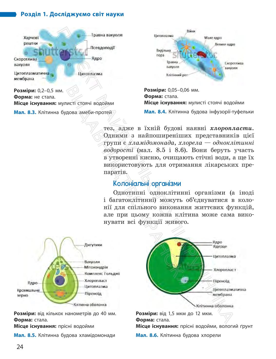 Мініатюра 24