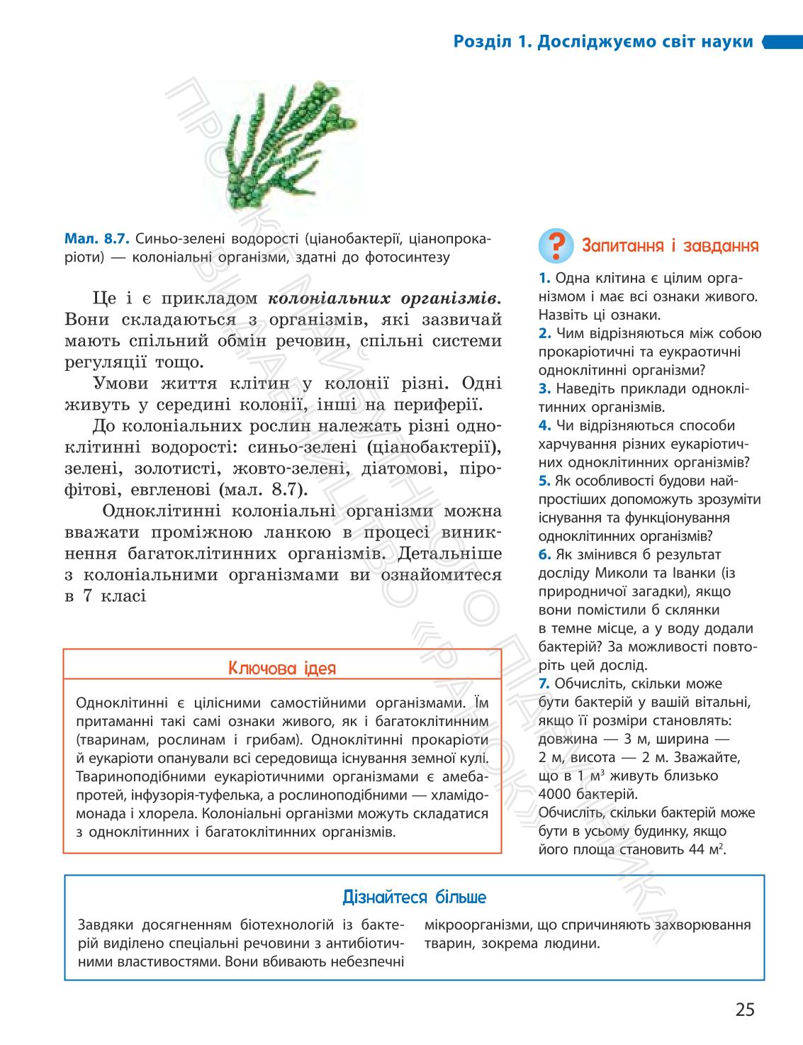 Мініатюра 25
