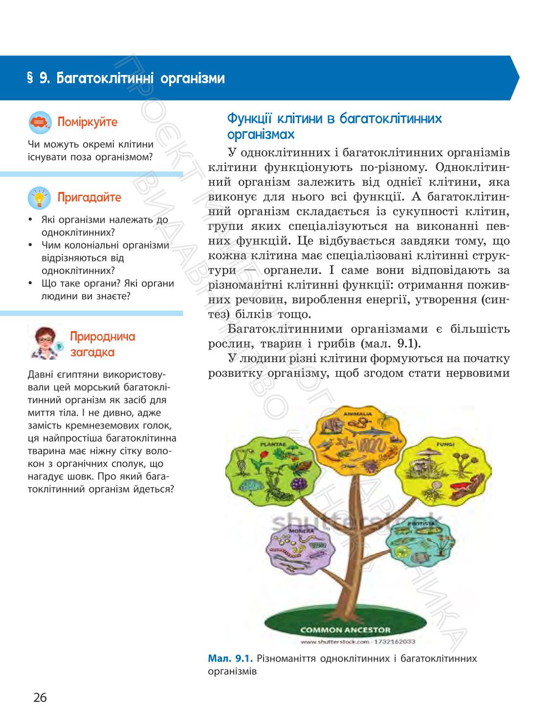 Мініатюра 26