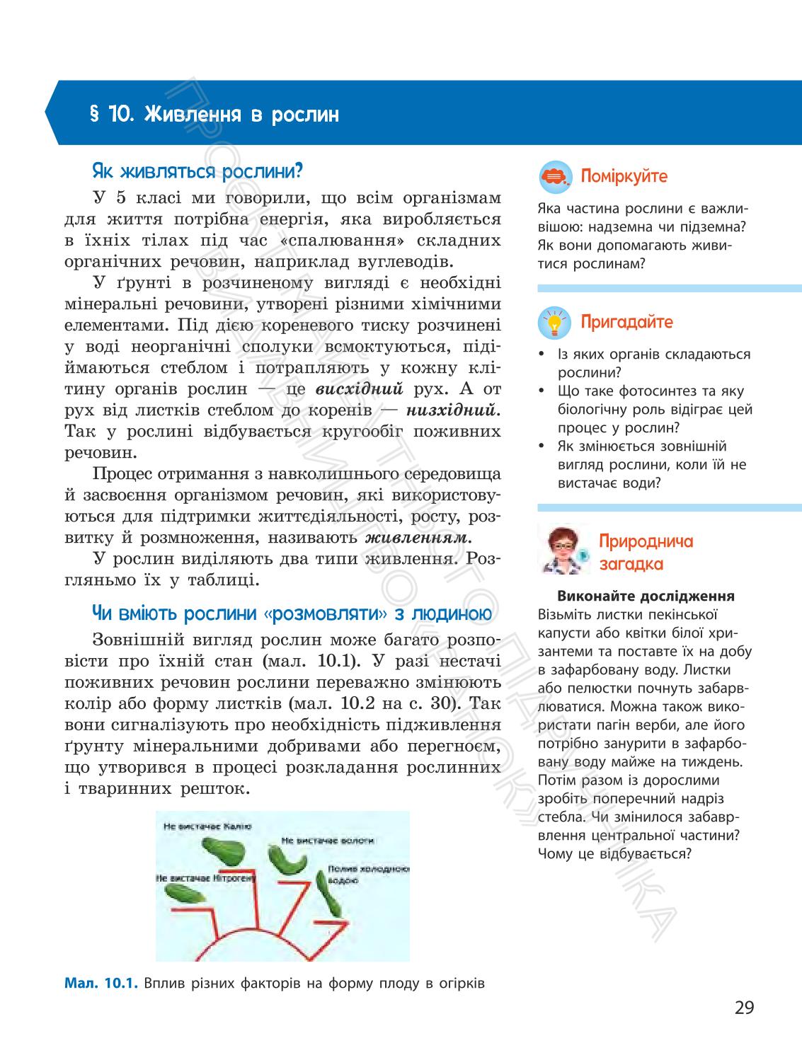Мініатюра 29
