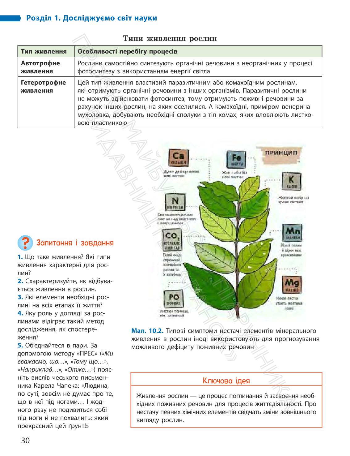 Мініатюра 30