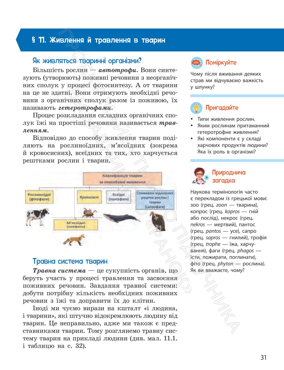 Мініатюра 31