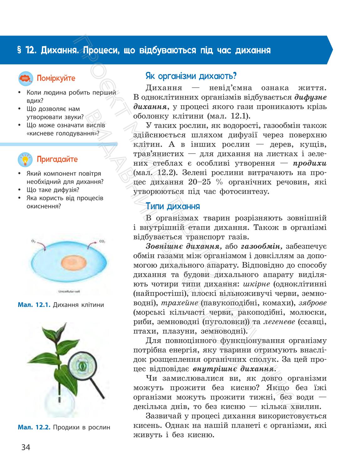 Мініатюра 34