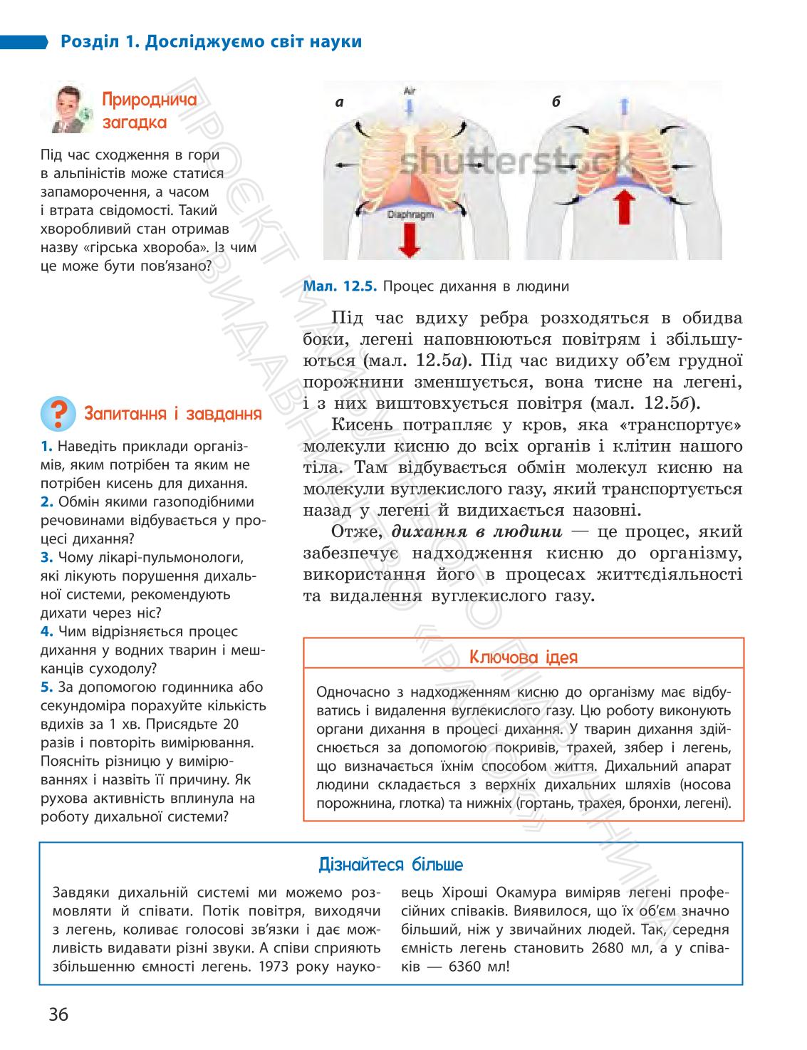 Мініатюра 36