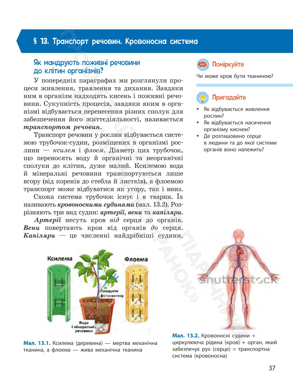 Мініатюра 37