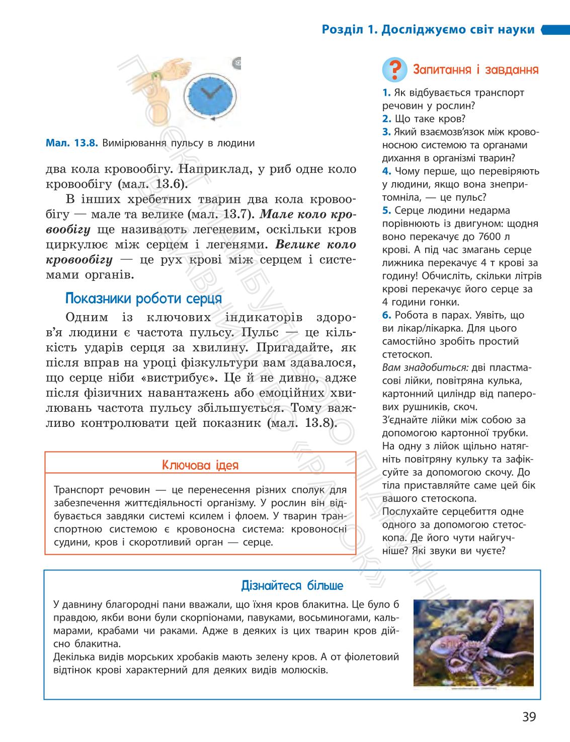 Мініатюра 39