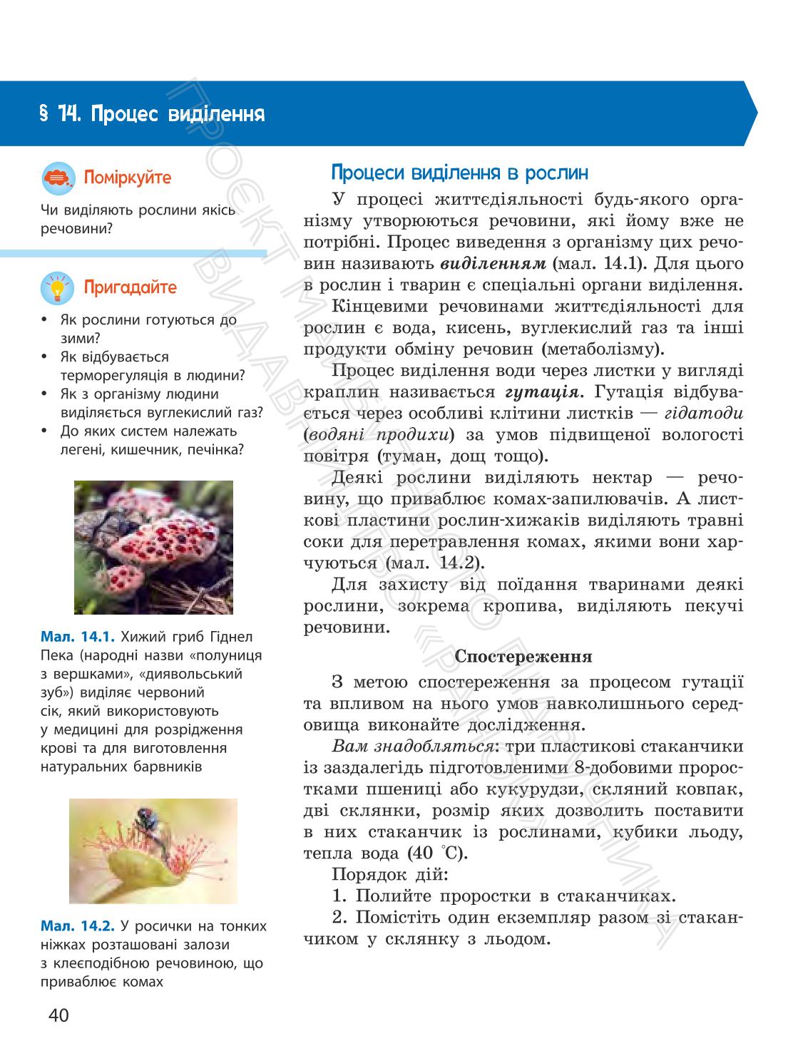 Мініатюра 40