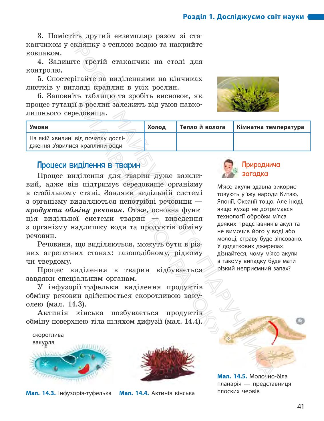 Мініатюра 41