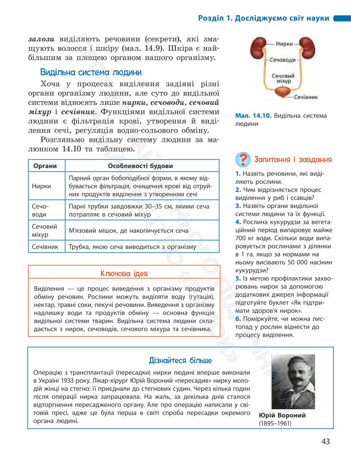 Мініатюра 43