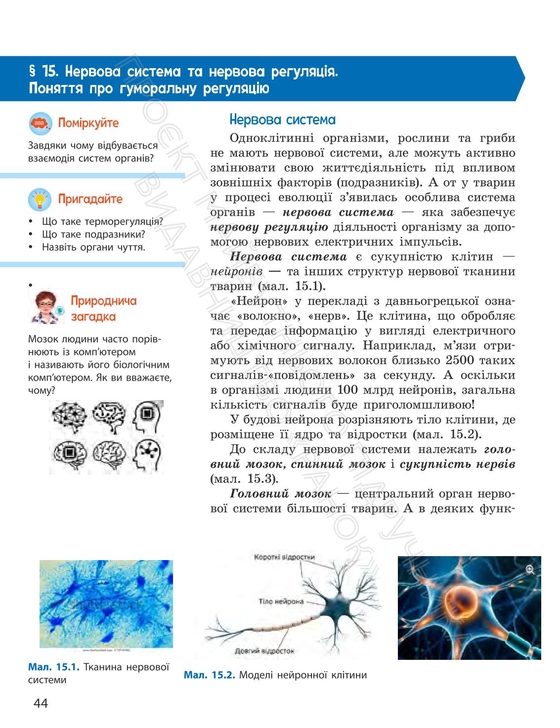 Мініатюра 44