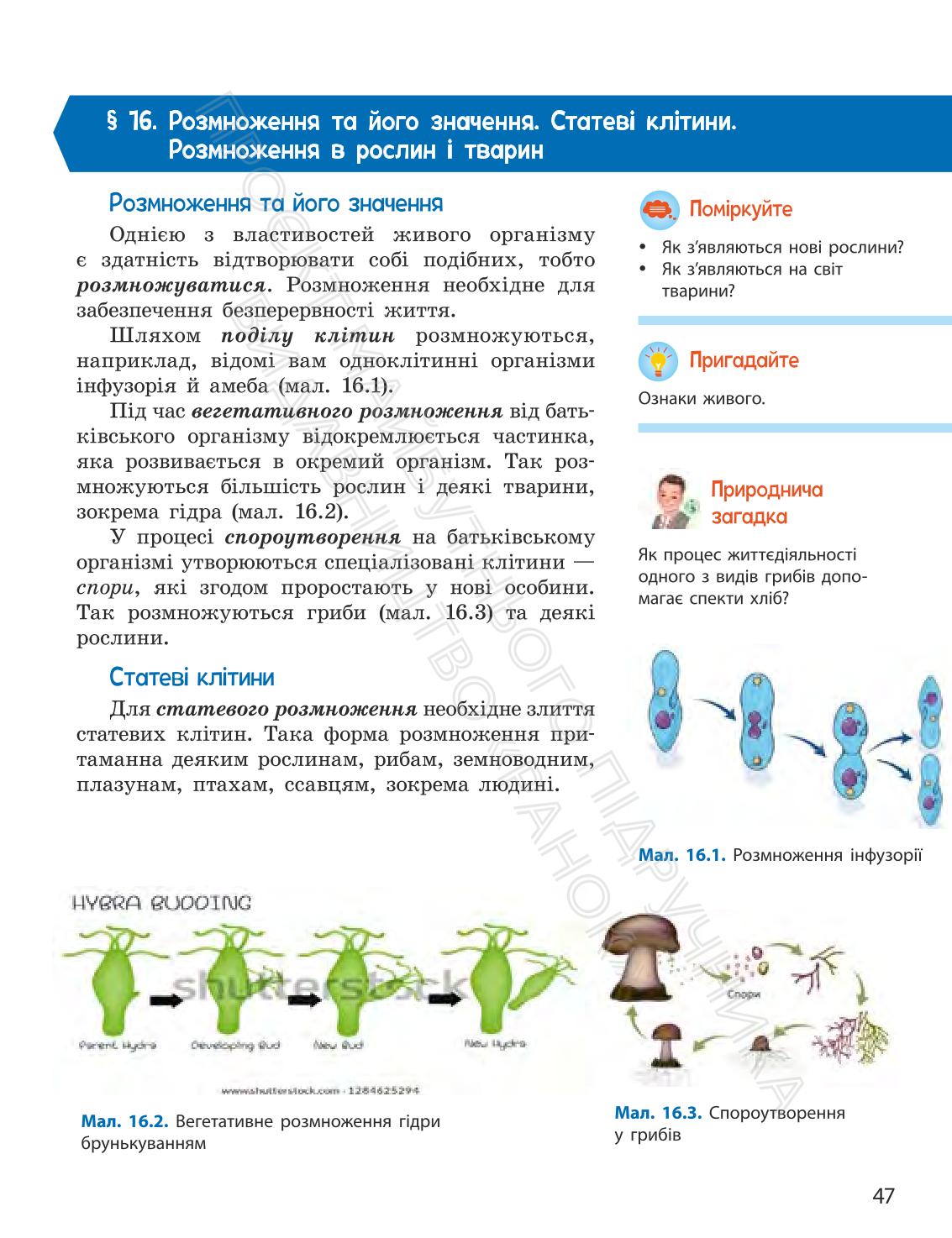 Мініатюра 47