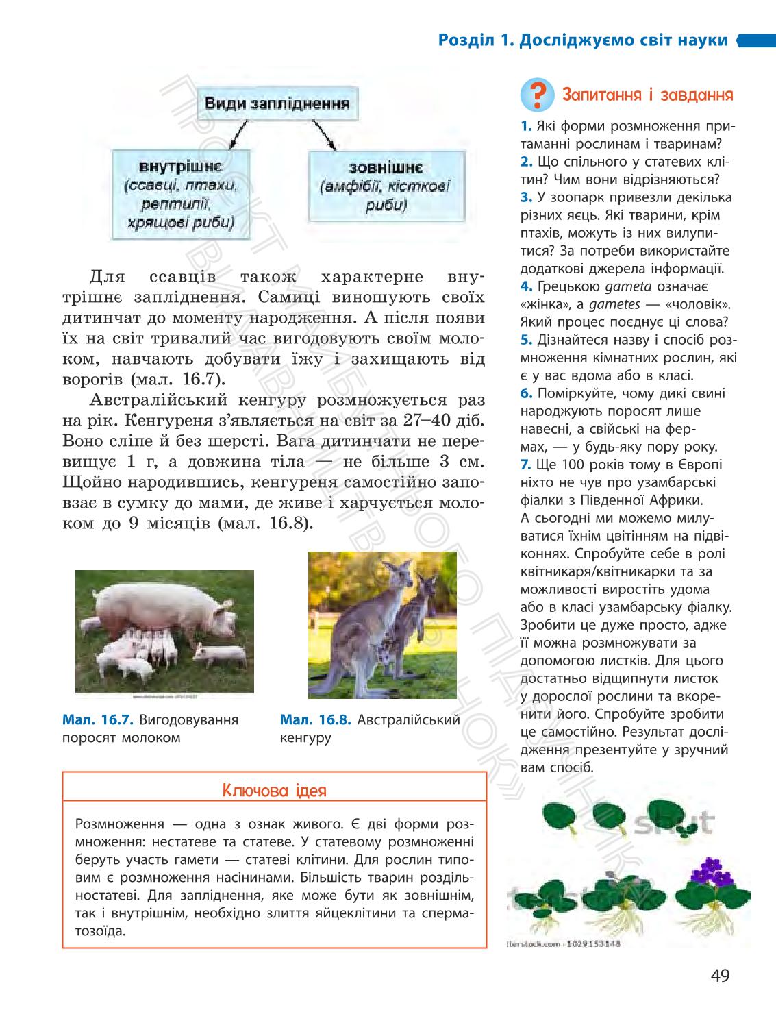Мініатюра 49