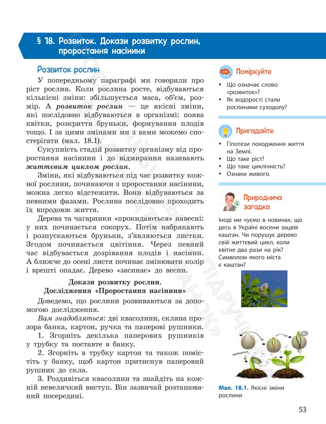 Мініатюра 53