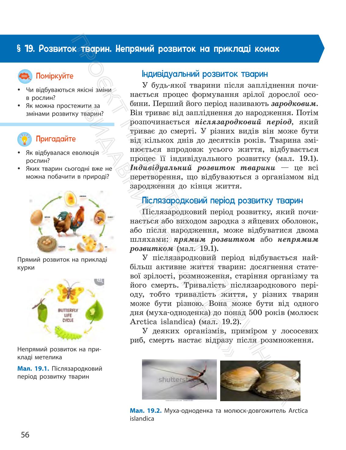 Мініатюра 56