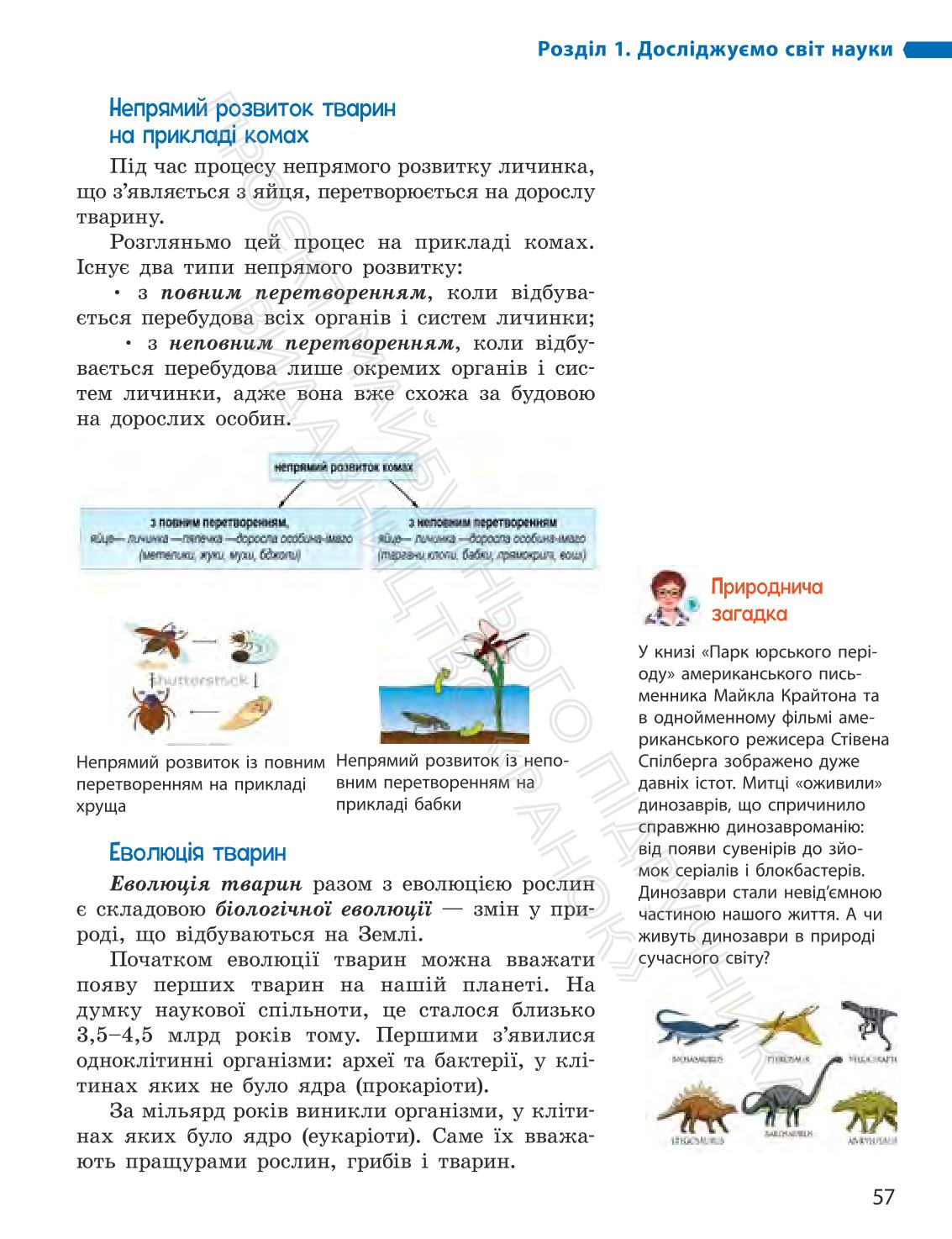 Мініатюра 57