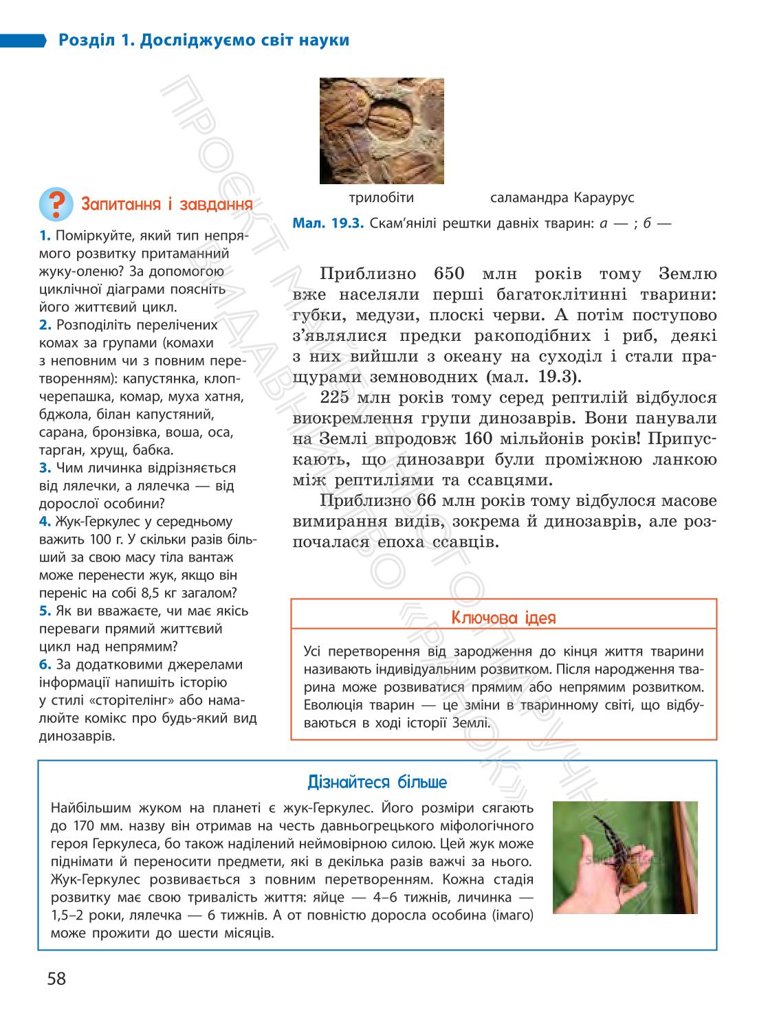 Мініатюра 58